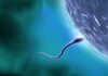 Dacă ești un donator de spermatozoizi, ar trebui să știi când să te oprești: un american este tatăl a 96 de copii